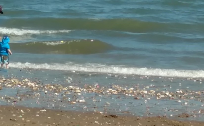 A day at Shanklin Beach, Isle of&nbsp;Wight