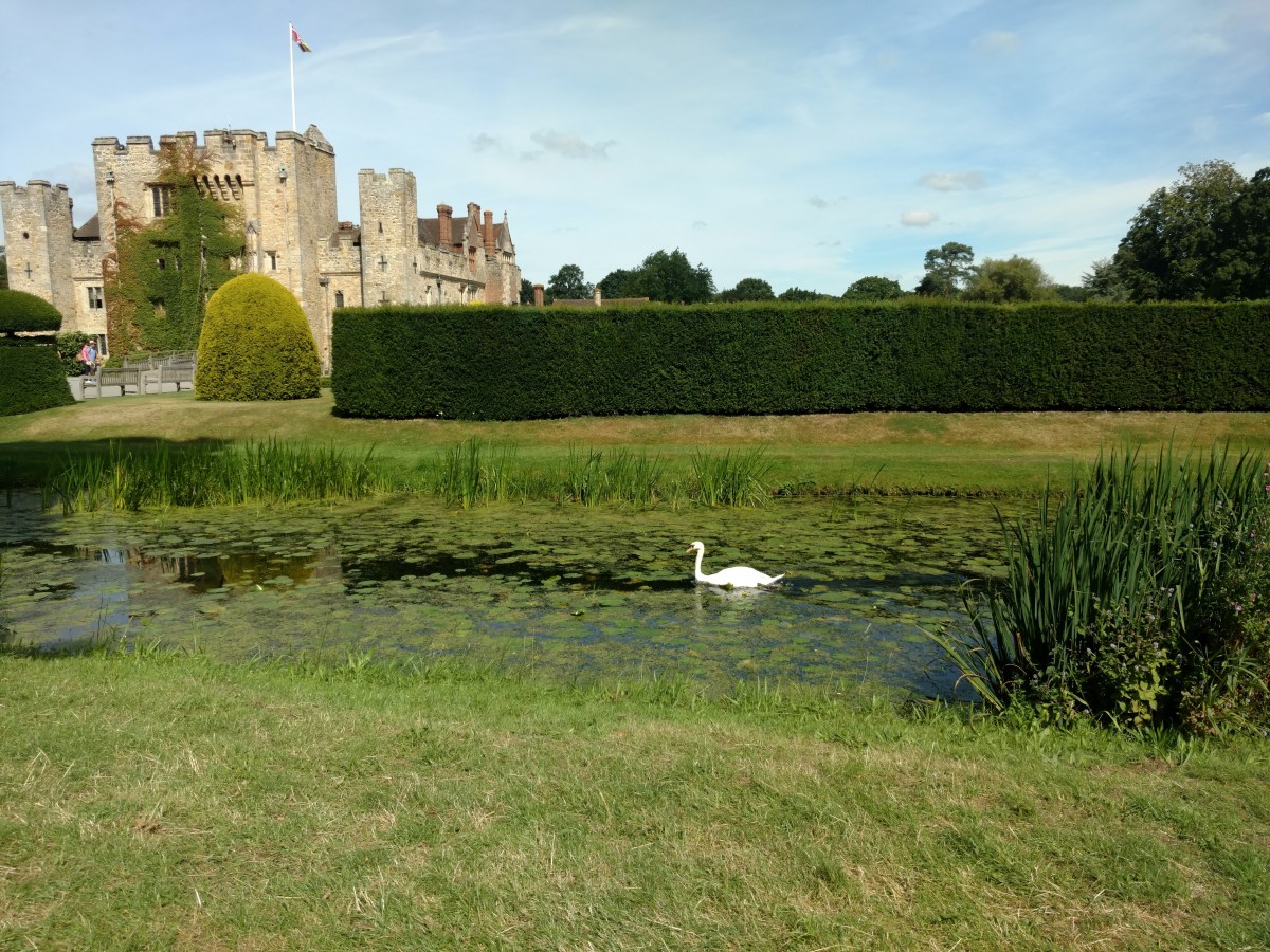 Don’t pretend to be a duck: Lessons from a lovely day at Hever&nbsp;Castle