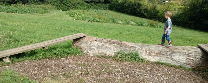 Balance beam at Priory Farm