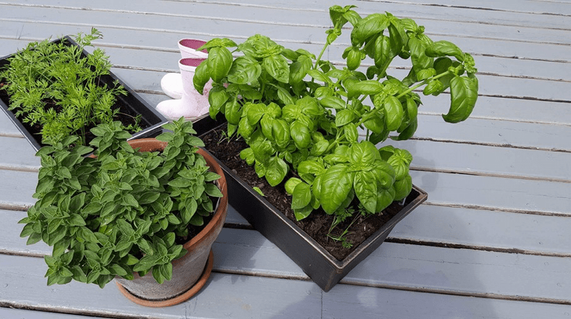 Introducing The Mum&nbsp;Recipes