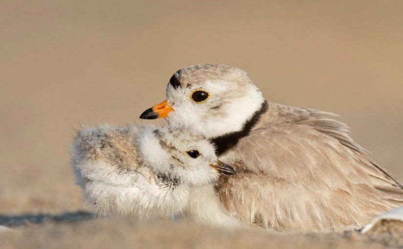 20 parenting moments I don’t want to&nbsp;forget