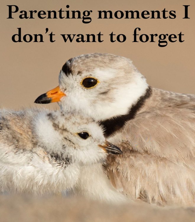 20 parenting moments I don't want to forget
