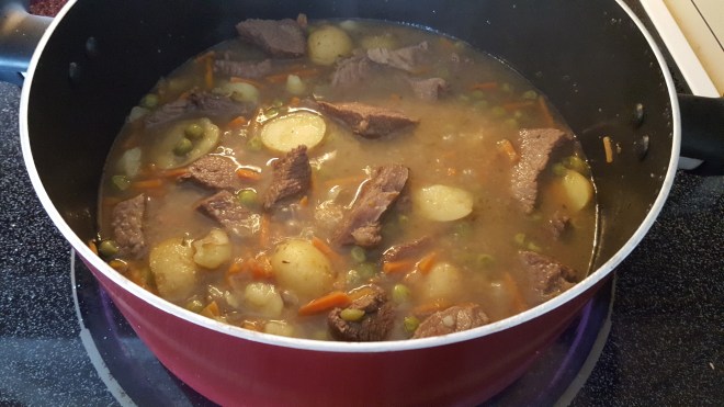 Beef Stroganoff Stew in the pot