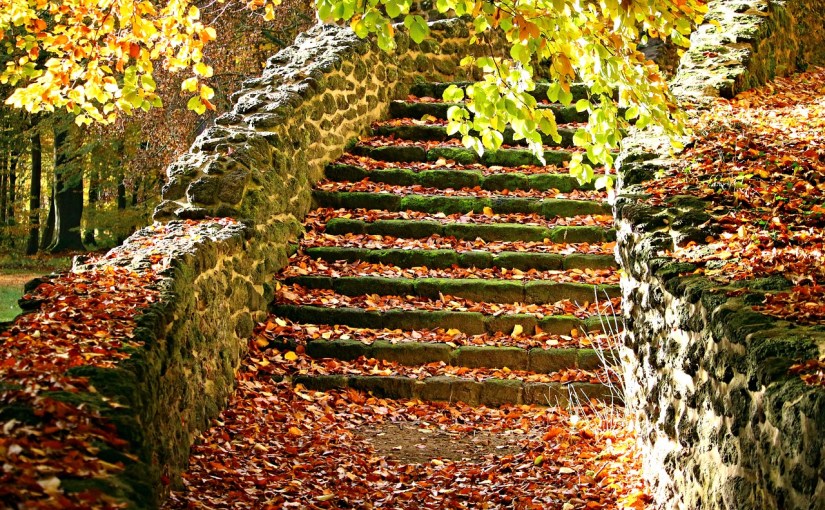 An exercise in&nbsp;thankfulness