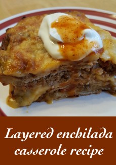 Plated enchilada vertical.jpg