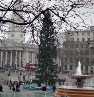 Christmas tree in Trafalgar Square