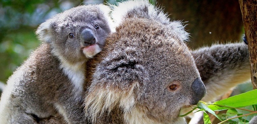 Am I rocking&nbsp;motherhood?