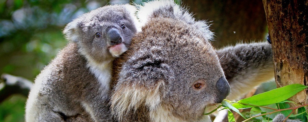 Am I rocking&nbsp;motherhood?