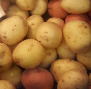 Boiling the potatoes.jpg