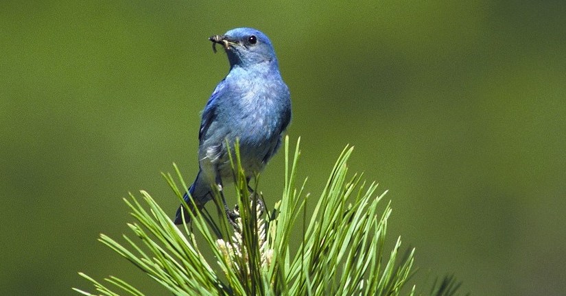 A guide to growing Twitter followers for busy parenting&nbsp;bloggers