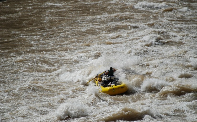 Regrets, fear and the comfort&nbsp;zone